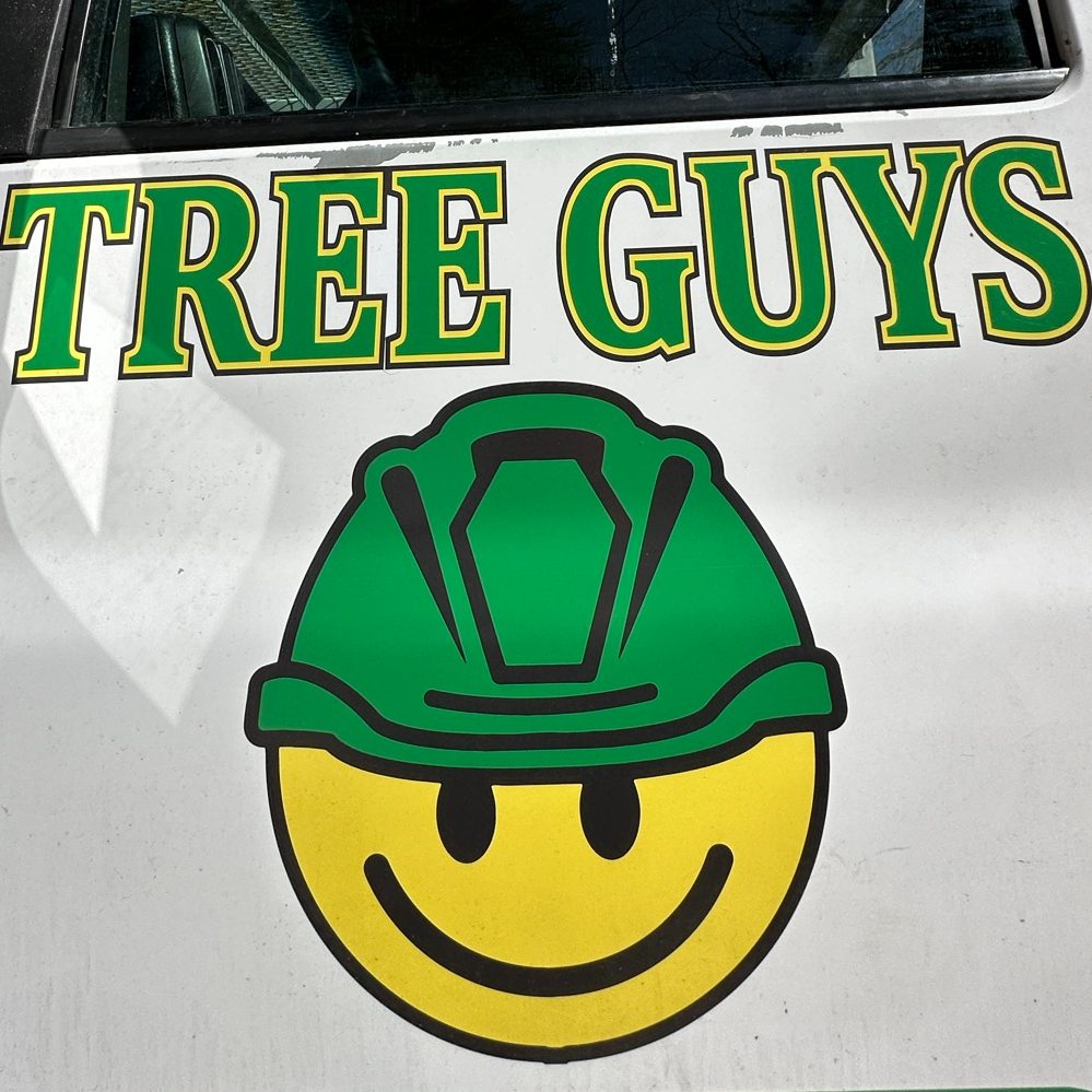 Tree Guys Inc.